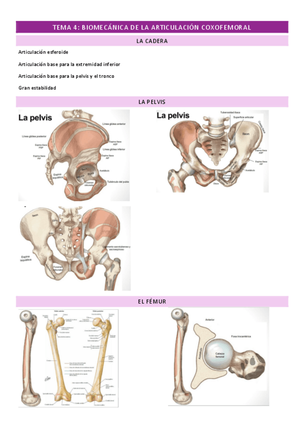 Miniatura del documento TEMA-4.pdf
