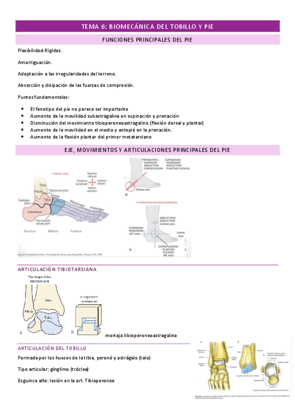 Miniatura del documento TEMA-6.pdf