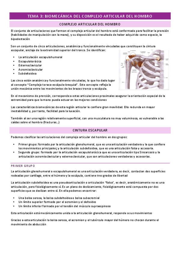 Miniatura del documento TEMA-3.pdf