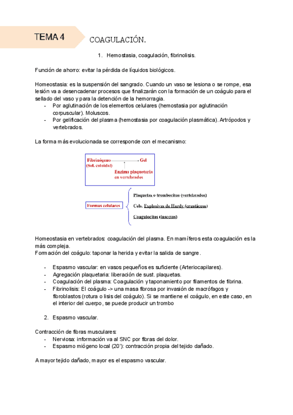 Miniatura del documento Tema-4-COAGULACION.pdf