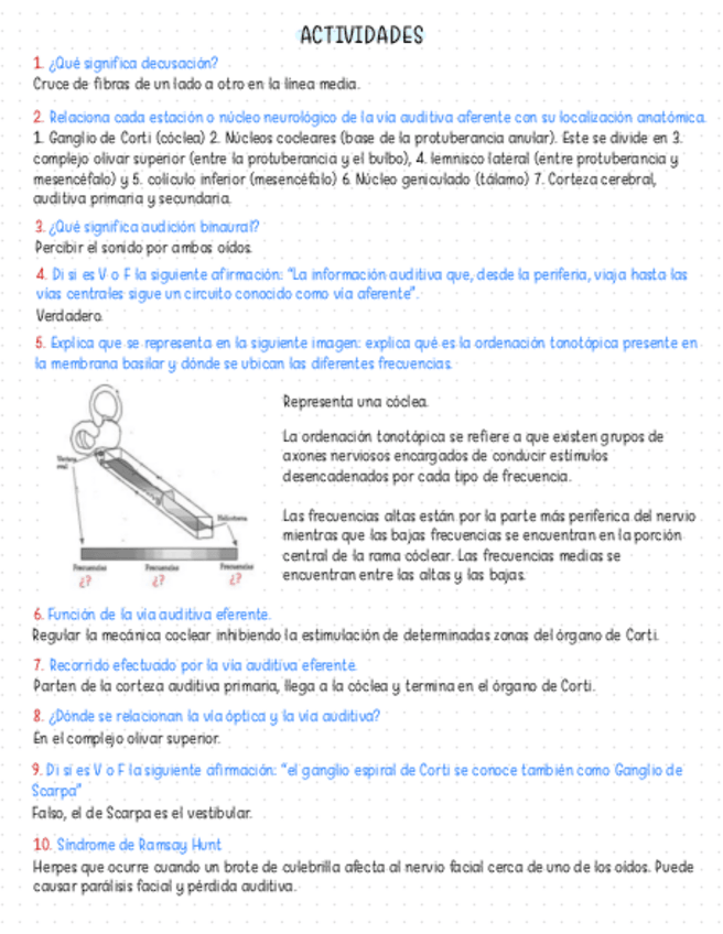 Miniatura del documento Actividades-Anatomia-de-la-via-auditiva.pdf