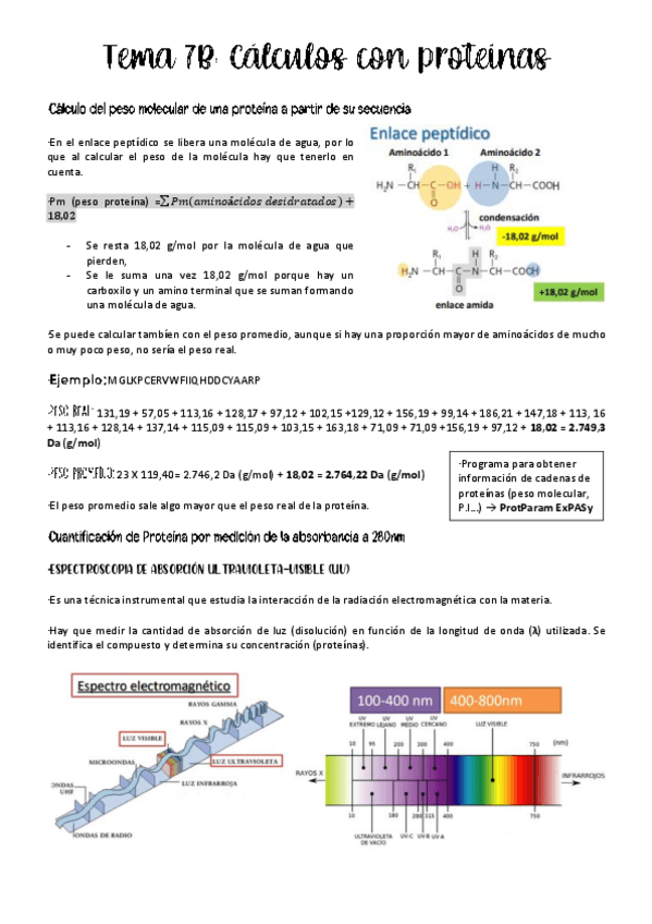 Miniatura del documento tema-7b-BIOQUIMICA.pdf