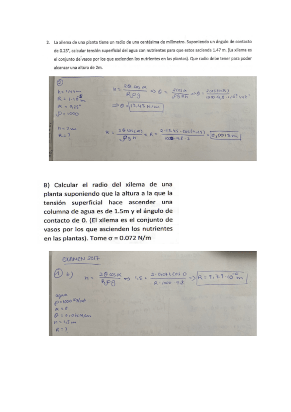 Miniatura del documento Problemas-repaso-Fisica.pdf