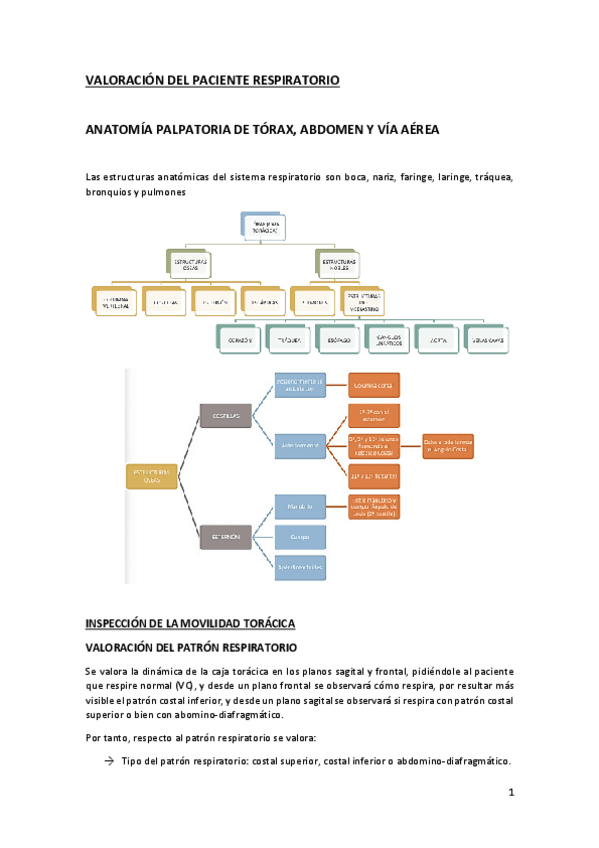 Miniatura del documento Modulo-1-Respi.pdf