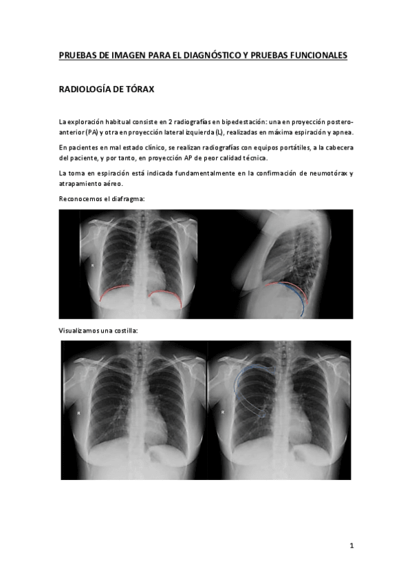 Miniatura del documento Modulo-4-Respi.pdf