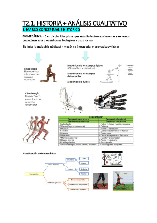 Miniatura del documento APUNTES-T2.1 HISTORIA Y A.CUALITATIVO