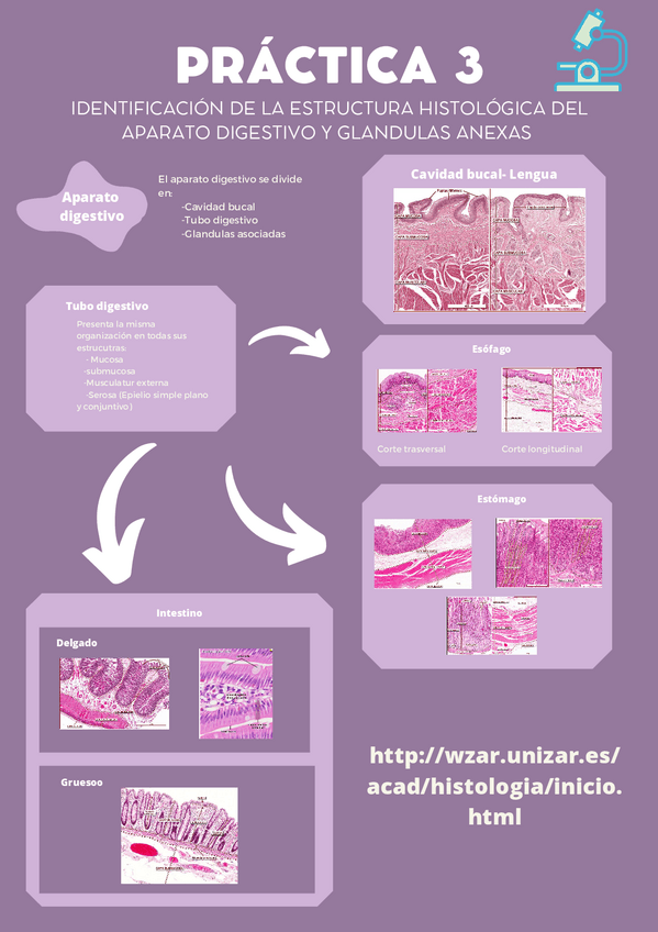 Miniatura del documento practica-3.pdf