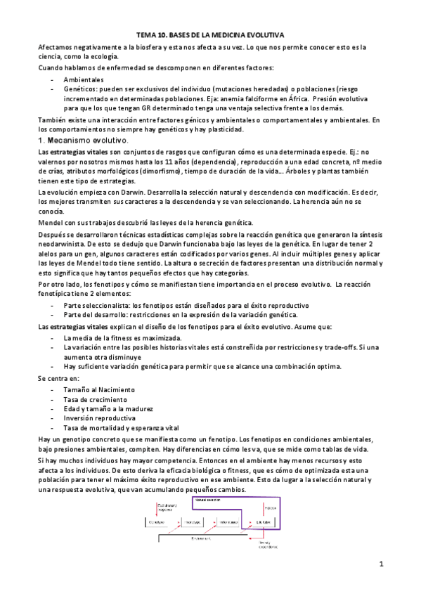 Miniatura del documento TEMA-10.pdf