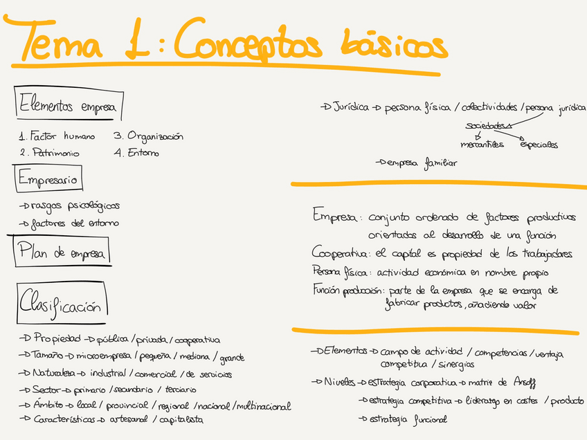 Miniatura del documento Esquema-Gestion-de-empresas.pdf