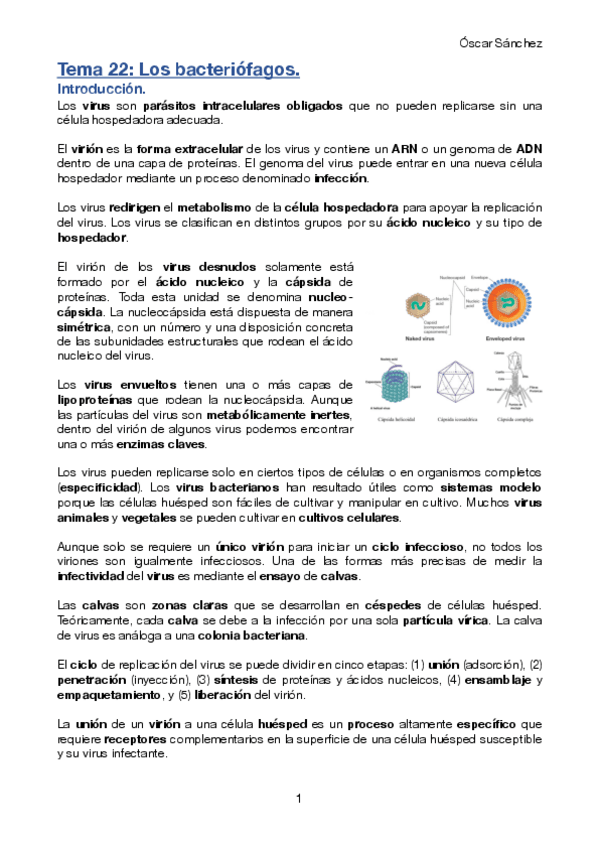 Miniatura del documento Tema-22-Micro-II.pdf