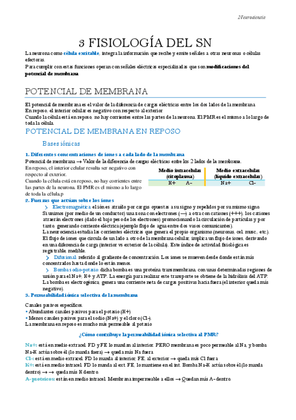 Miniatura del documento Neurociencia-Tema-3.pdf