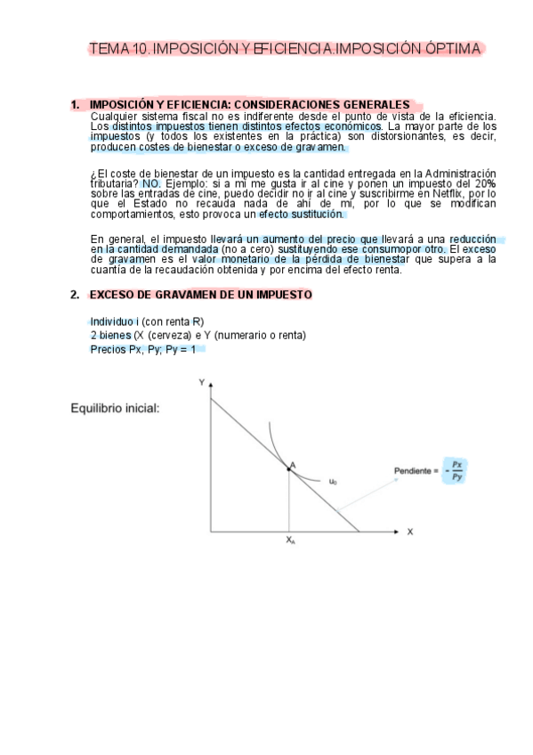 Miniatura del documento TEMA-10ANOTACIONES.pdf