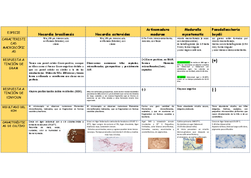 Miniatura del documento Agentes-micoticos.pdf