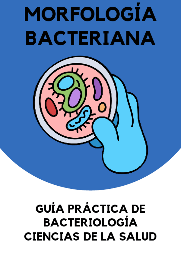 Miniatura del documento Morfologia-Bacteriana.pdf