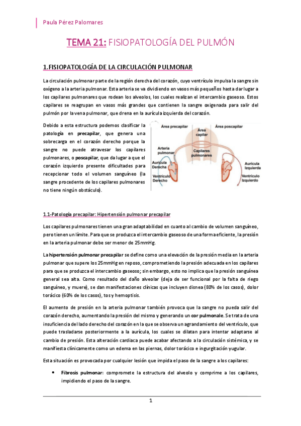 Miniatura del documento TEMA-21-FISIOPATOLOGIA-DEL-PULMON.pdf