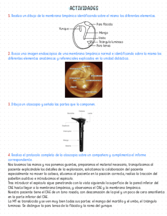 Miniatura del documento Actividades-Exploracion-clinica-del-oido.pdf