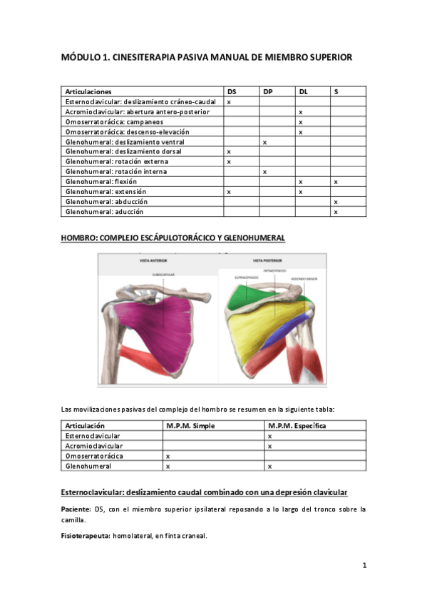 Miniatura del documento Modulo-1-Cinesiterapia.pdf