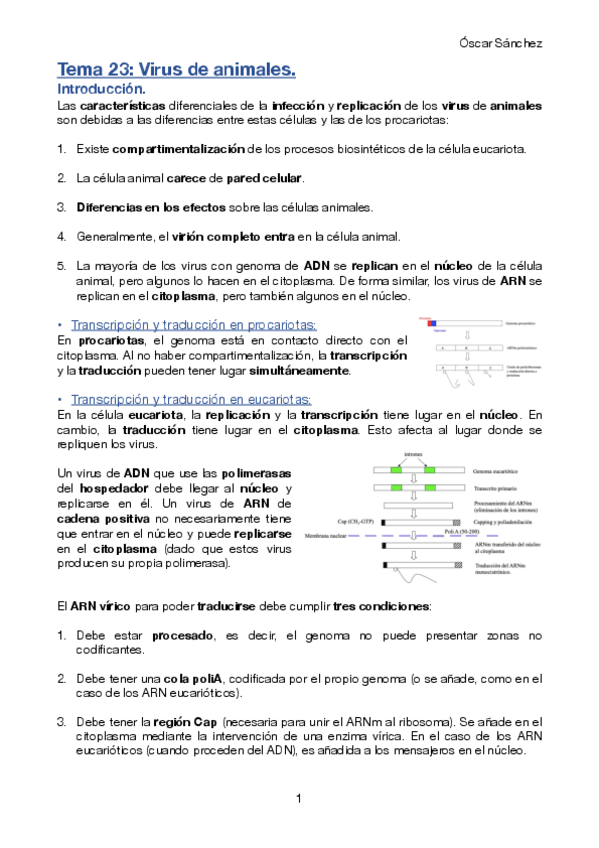 Miniatura del documento Tema-23-Micro-II.pdf