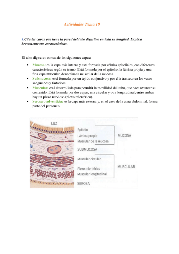 Miniatura del documento Actividades-Tema-10-FG-1.pdf