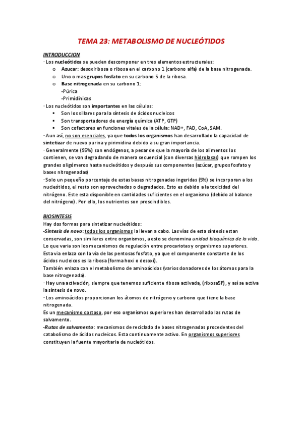 Miniatura del documento T23-metabolismo-de-nucleotidos.pdf