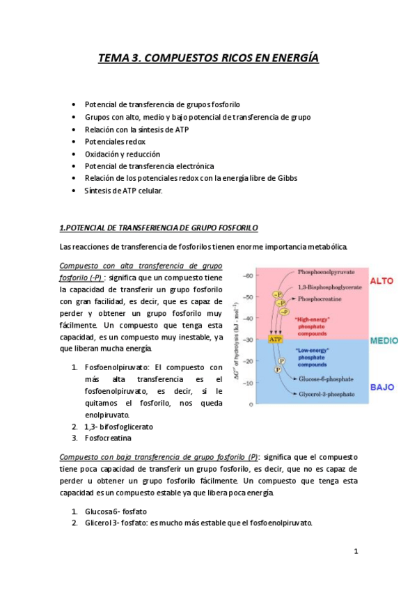 Miniatura del documento TEMA 3..pdf