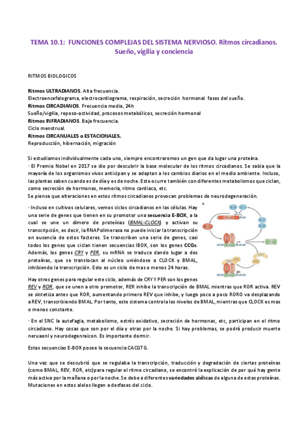 Miniatura del documento Tercer-parcial-NM.pdf