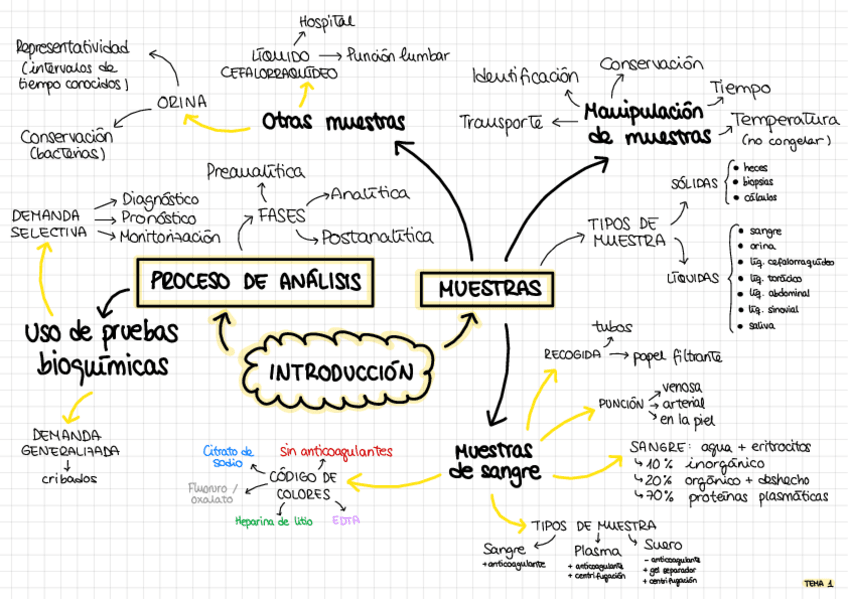 Miniatura del documento Mapas-Mentales.pdf