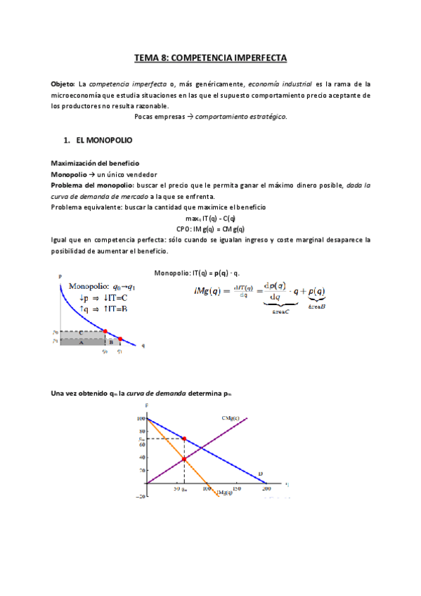 Miniatura del documento TEMA-8.pdf