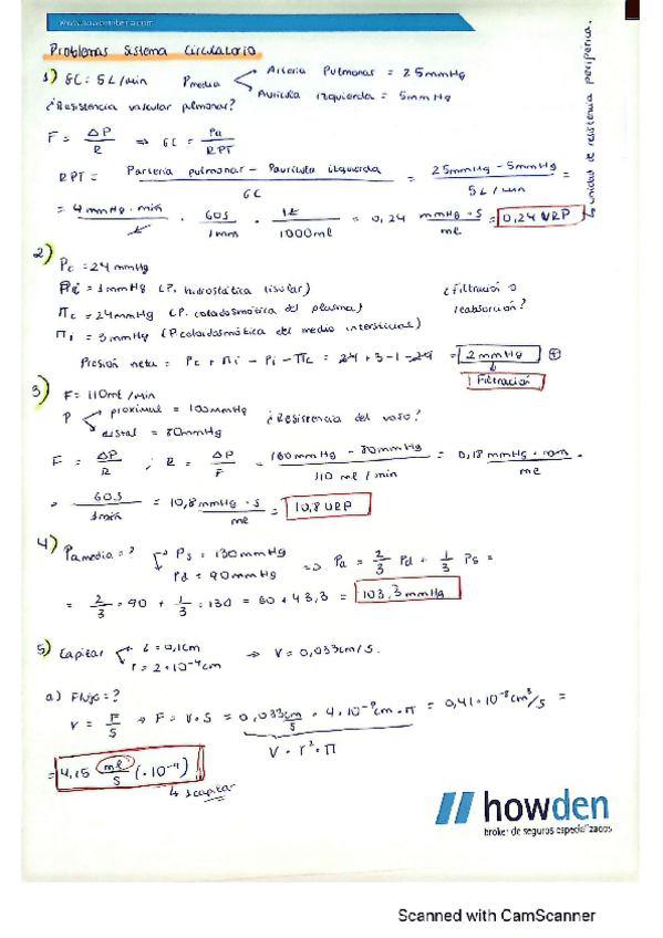 Miniatura del documento PROBLEMAS-CIRCULATORIO.pdf