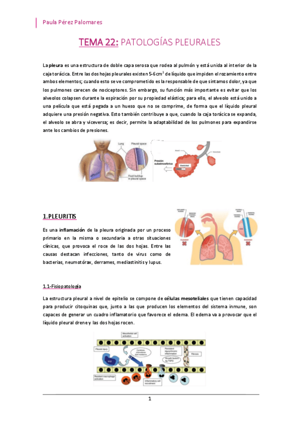 Miniatura del documento TEMA-22-PATOLOGIAS-PLEURALES.pdf