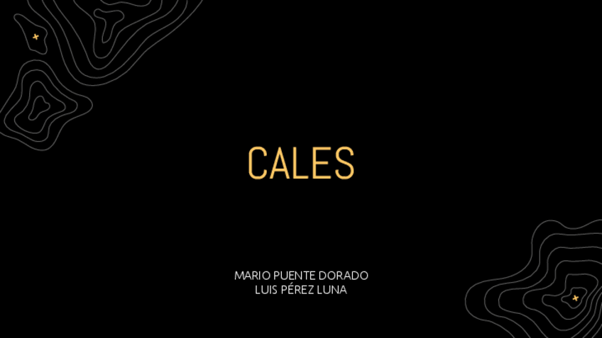 Miniatura del documento CALES-Luis-Perez-Luna-y-Mario-Puente-Dorado.pdf