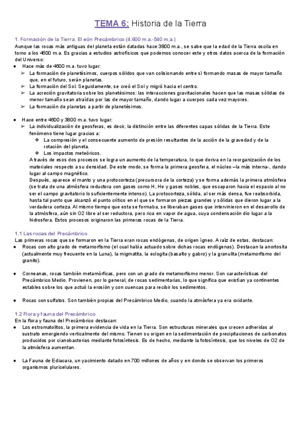 Miniatura del documento GEOLOGIA-T6.pdf