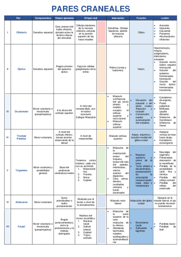 Miniatura del documento Pares-craneales.pdf