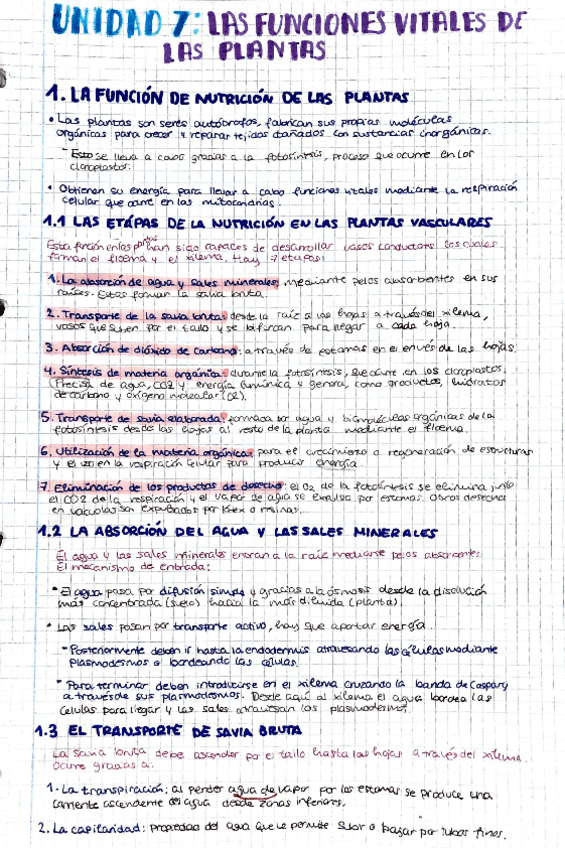 Miniatura del documento Las-funciones-vitales-de-las-plantas.pdf