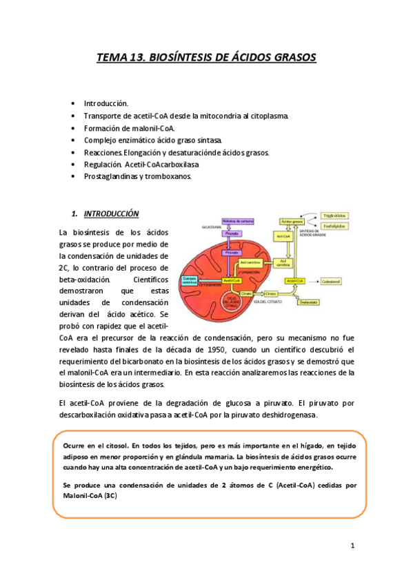 Miniatura del documento TEMA 13 BIOQ.pdf