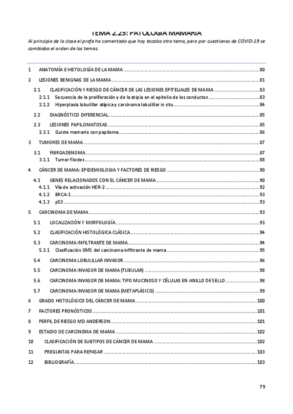 Miniatura del documento PATOLOGÍA MAMARIA