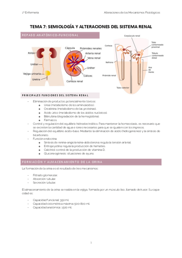 Miniatura del documento TEMA-7.pdf