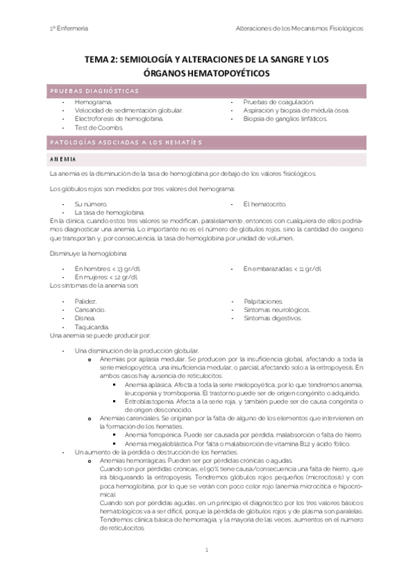 Miniatura del documento TEMA-2.pdf