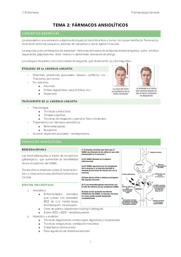 Miniatura del documento TEMA-2-FARMACOS-ANSIOLITICOS-APUNTES.pdf
