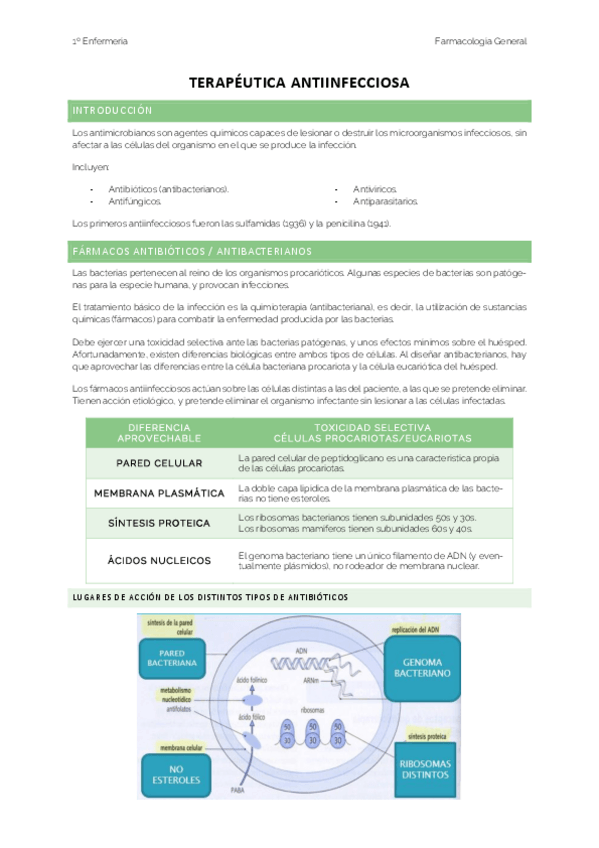 Miniatura del documento APUNTES-ANTIBACTERIANOS.pdf
