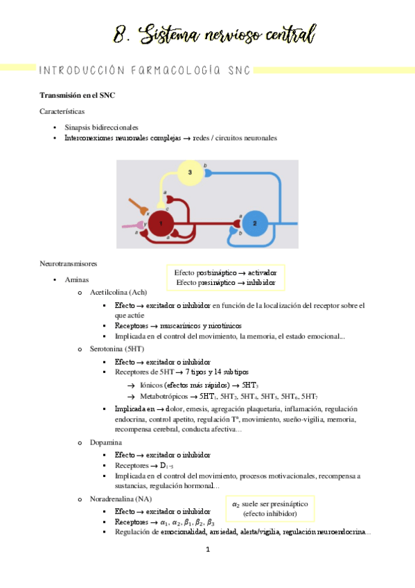 Miniatura del documento Bloque 8 SNC (completo)