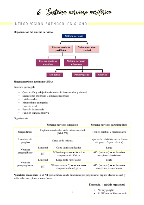 Miniatura del documento Bloque 6 SNP (completo)