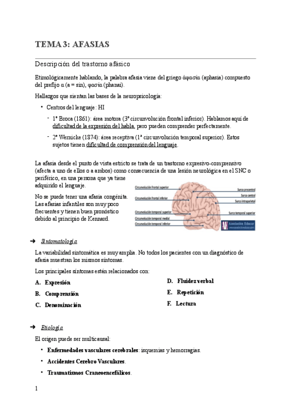 Miniatura del documento TEMA-3-AFASIAS-.pdf