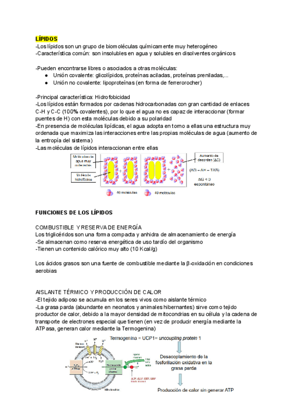 Miniatura del documento LIPIDOS.pdf