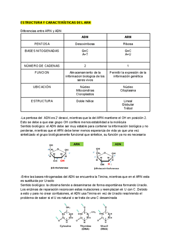 Miniatura del documento ESTRUCTURA-Y-CARACTERISTICAS-DEL-ARN.pdf
