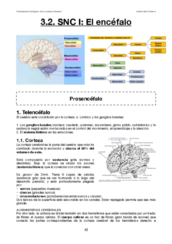 Miniatura del documento 3.pdf