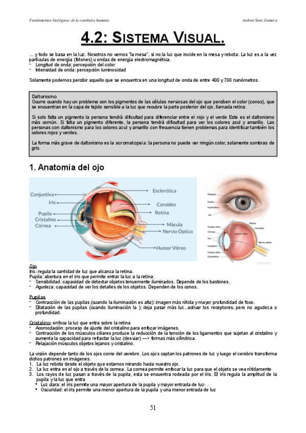Miniatura del documento 4.pdf