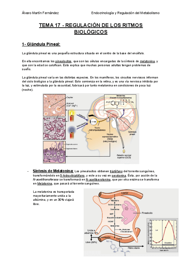 Miniatura del documento TEMA-17-REGULACION-DE-LOS-RITMOS-BIOLOGICOS.pdf