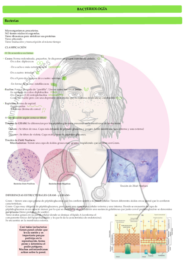 Miniatura del documento Bacterologiawatermark.pdf