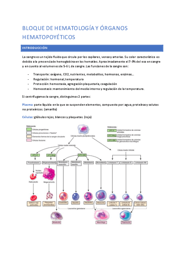 Miniatura del documento HEMATOLOGIA-COMPLETO.pdf